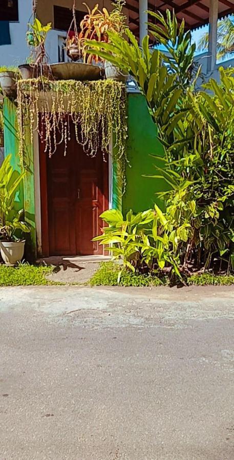 Shady Edge Hotel อูนาวาตูนา ภายนอก รูปภาพ