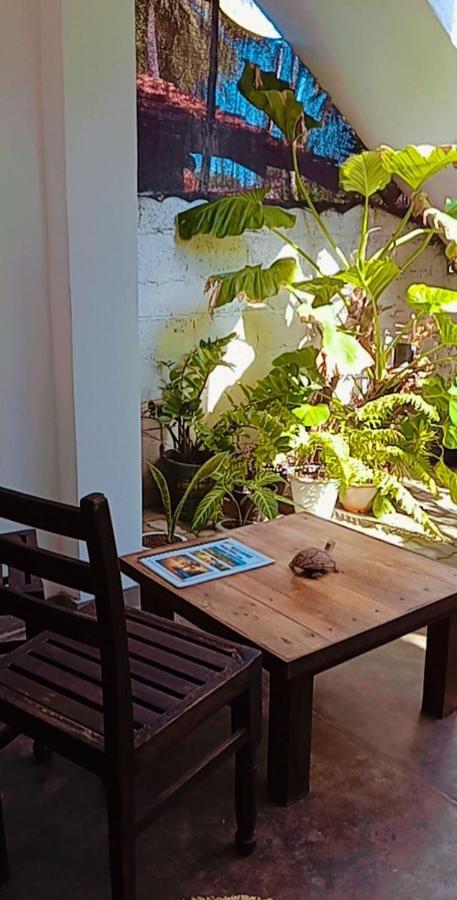 Shady Edge Hotel อูนาวาตูนา ภายนอก รูปภาพ